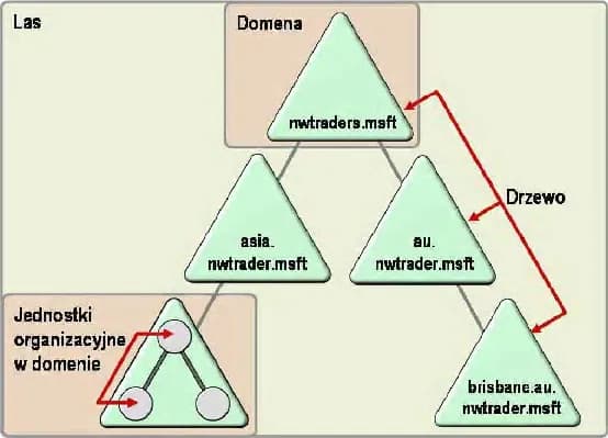 Jaką nazwę przyjmie las po utworzeniu w nim pierwszej domeny?