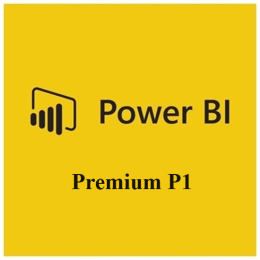 Microsoft Power BI Premium P1